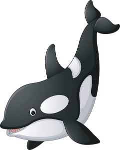 Killer whale PNG-71253